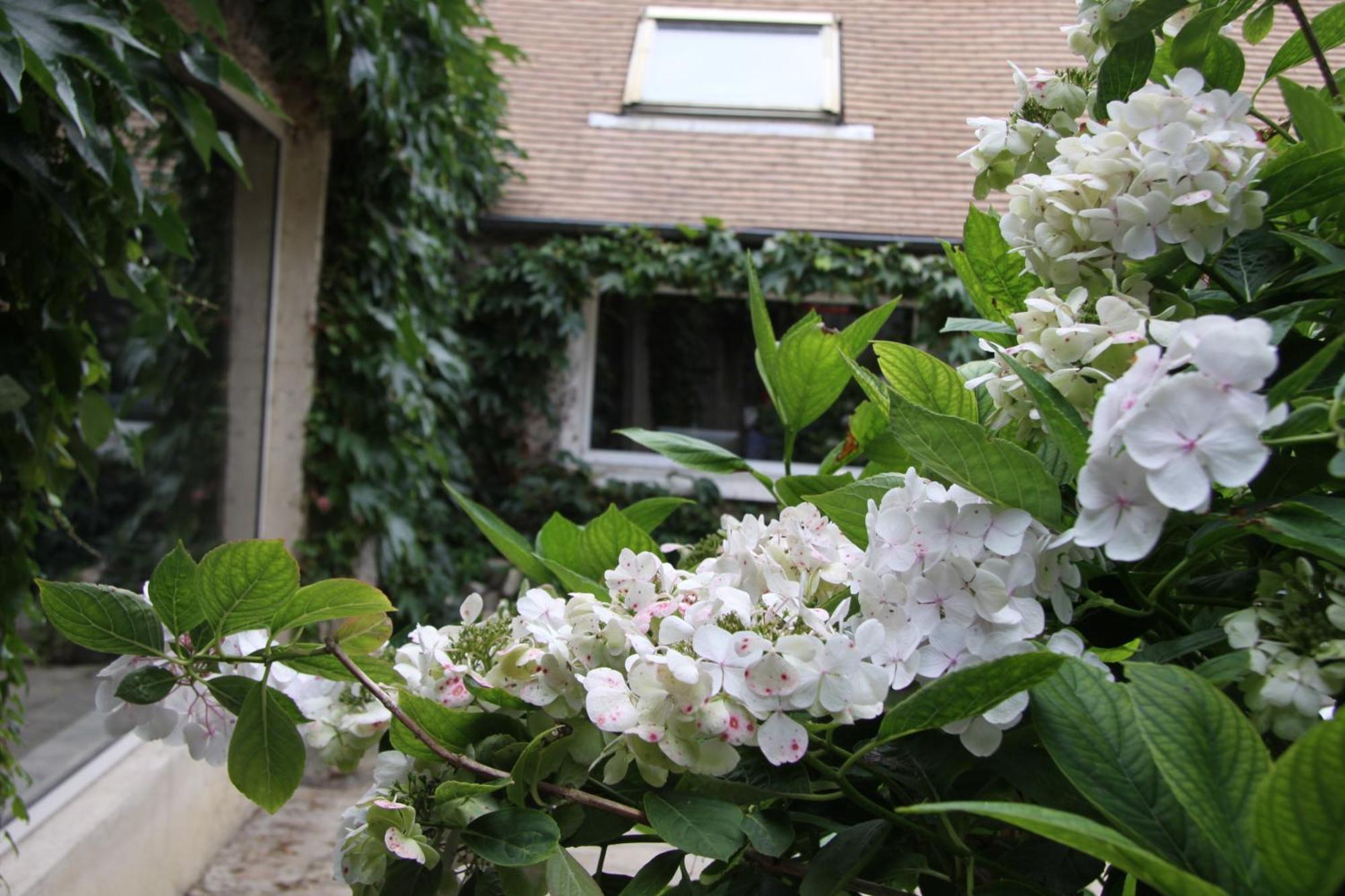 Bed and Breakfast L'Hibernie Rochefort-en-Yvelines Exterior foto